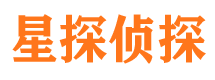 加查市侦探公司